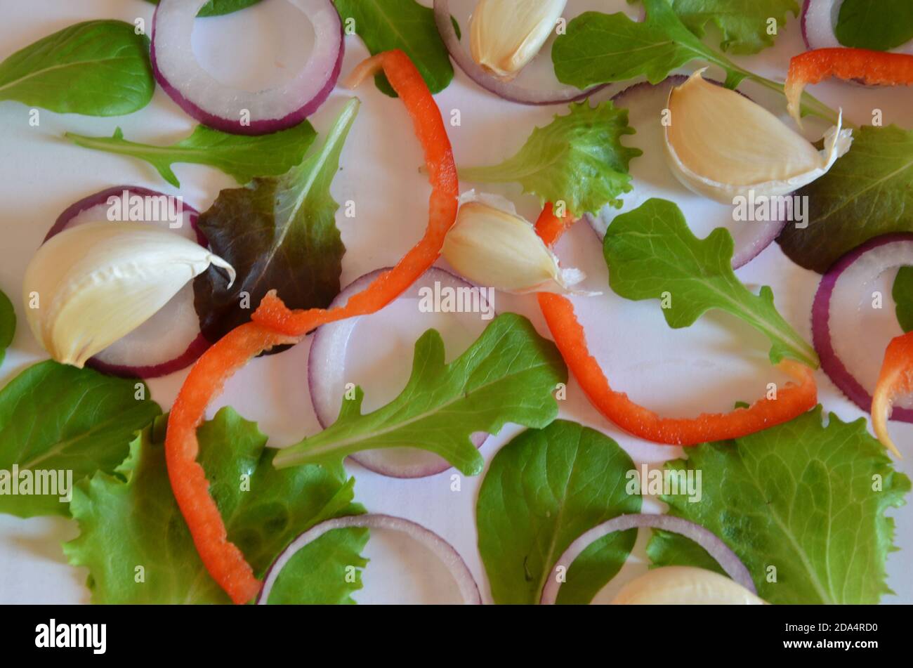Purple or green basil, Ruccola, purple onion rings, red sweet pepper, garlic on a white background. Frame from fresh greens. Craft background Stock Photo