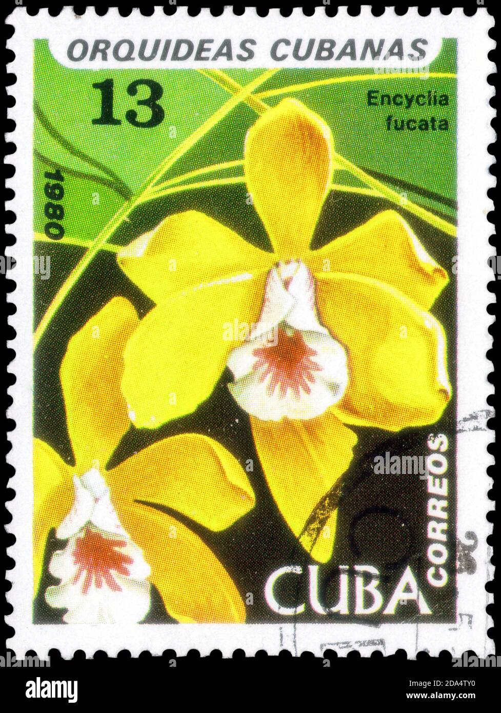 Saint Petersburg, Russia - September 18, 2020: Stamp printed in the Cuba with the image of the Encyclia fucata, circa 1980 Stock Photo