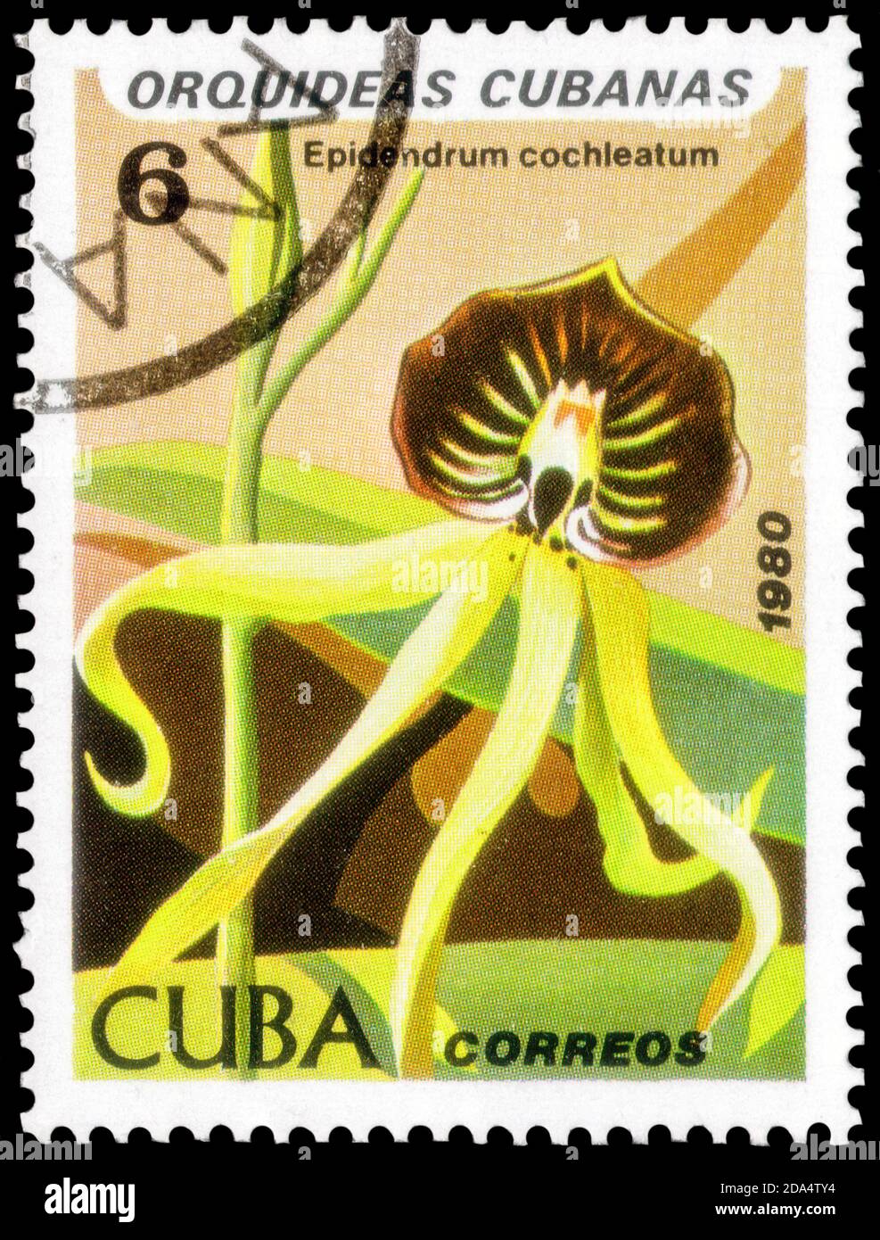 Saint Petersburg, Russia - September 18, 2020: Stamp printed in the Cuba with the image of the Epidendrum cochleatum, circa 1980 Stock Photo