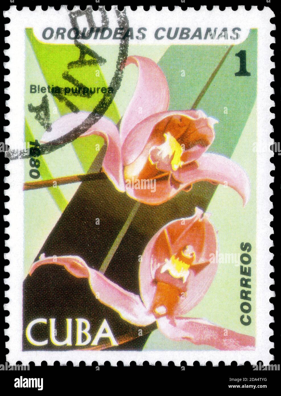 Saint Petersburg, Russia - September 18, 2020: Stamp printed in the Cuba with the image of the Bletia purpurea, circa 1980 Stock Photo