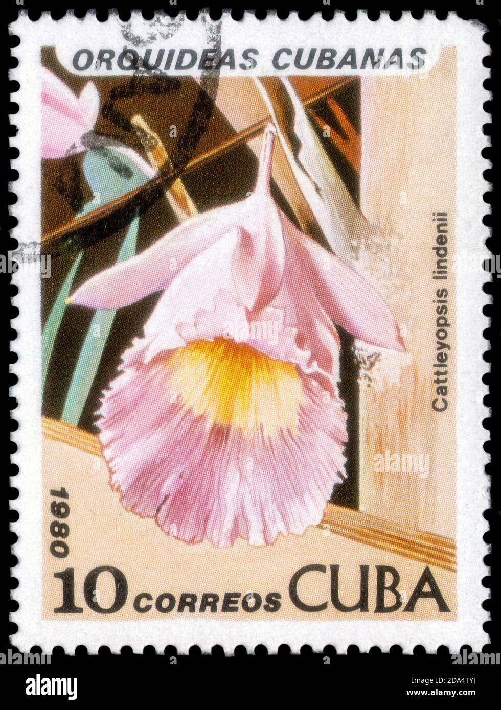 Saint Petersburg, Russia - September 18, 2020: Stamp printed in the Cuba with the image of the Cattleyopsis lindenii, circa 1980 Stock Photo