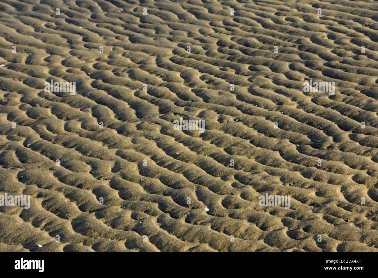 Pattern of rolling rippled waves on a sand beach. Stock Photo