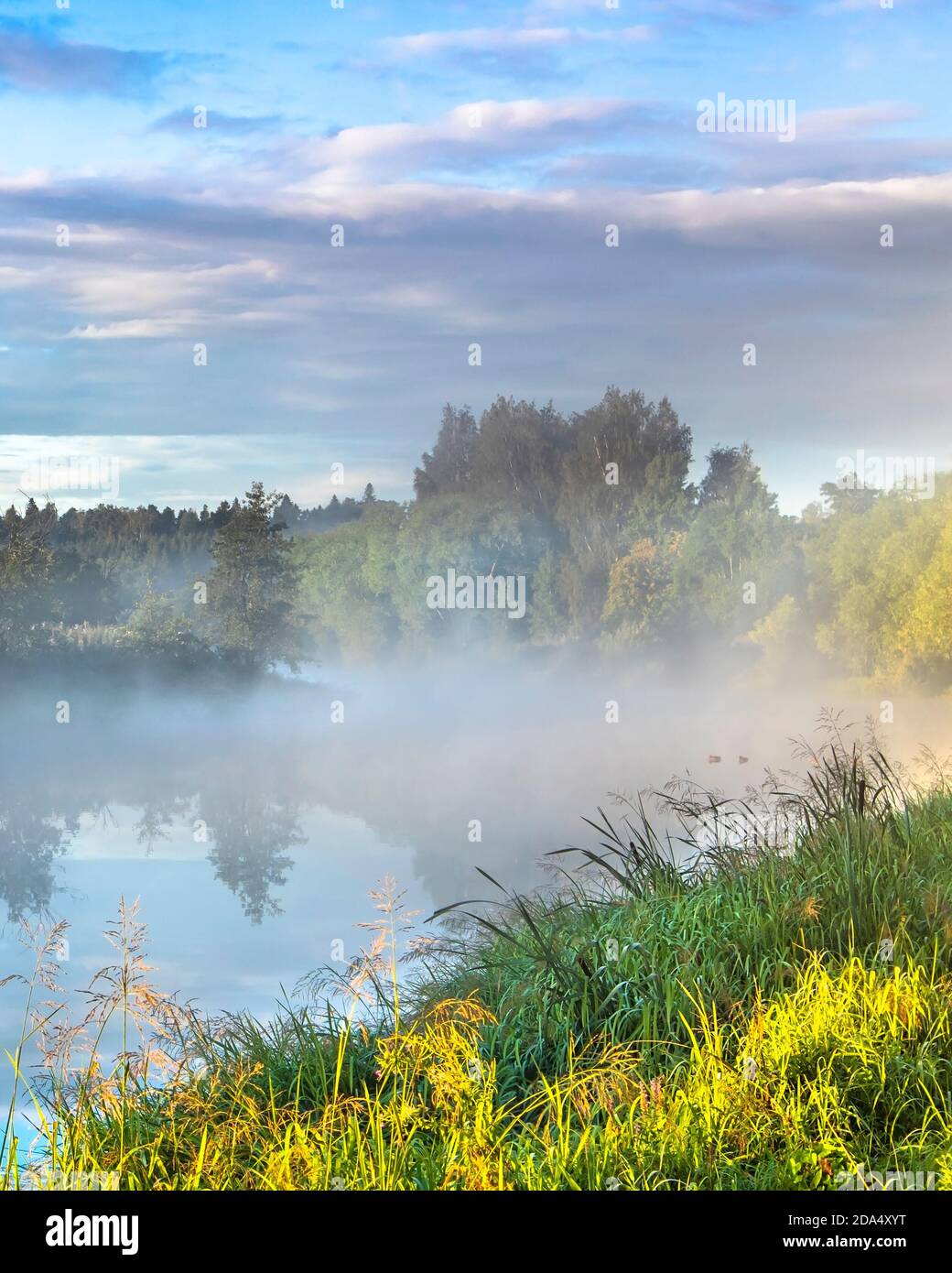 Fog over the river. Green coastline in the foggy morning. Dense grass on river bank. Calm water surface. Misty landscape. Mist over water. Summer. Stock Photo
