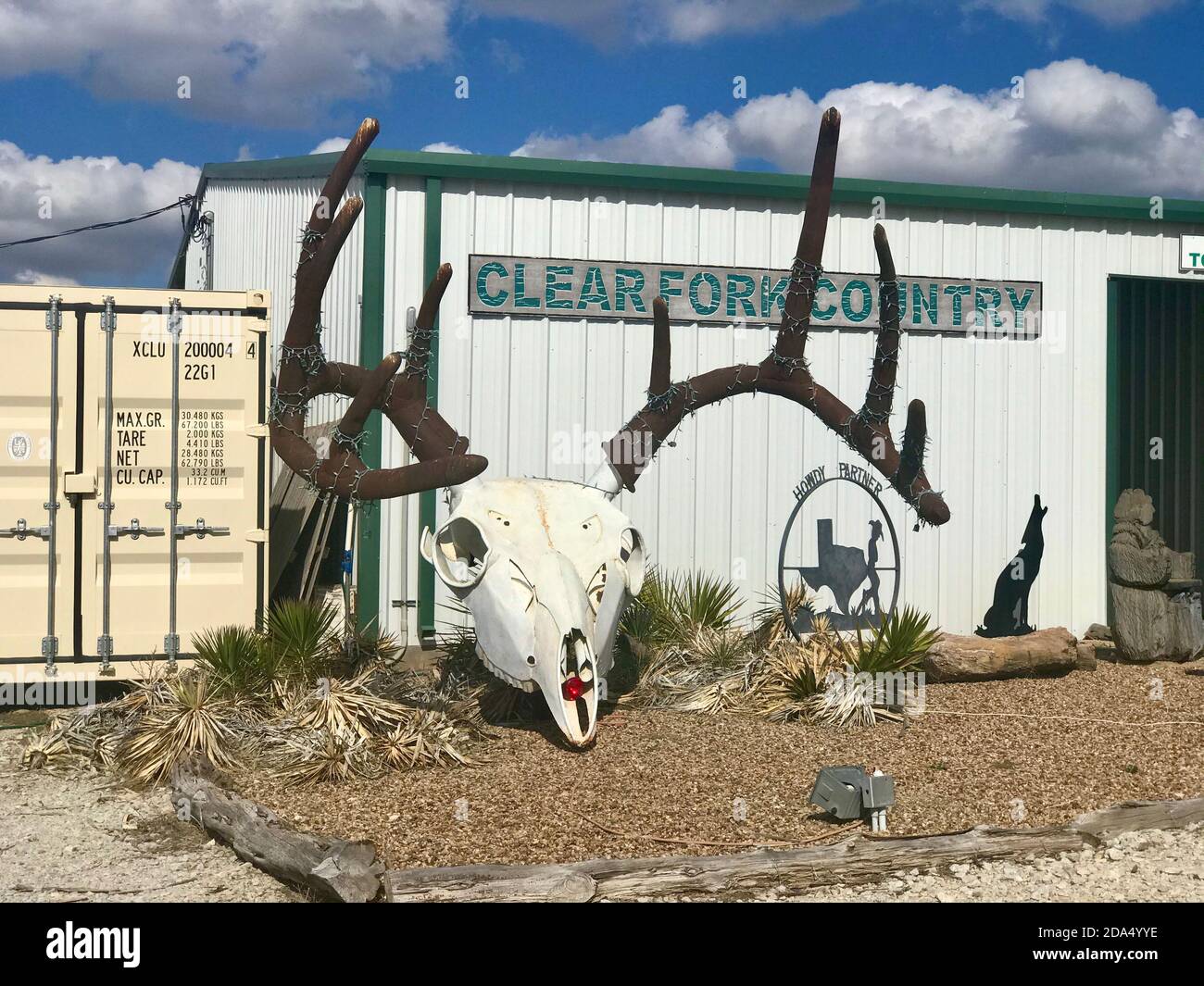 Giant trophy deer head in west TexaS Stock Photo