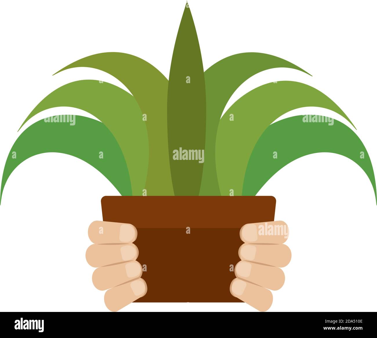 Isolated plant sow activity home with hands icon- Vector Stock Vector ...