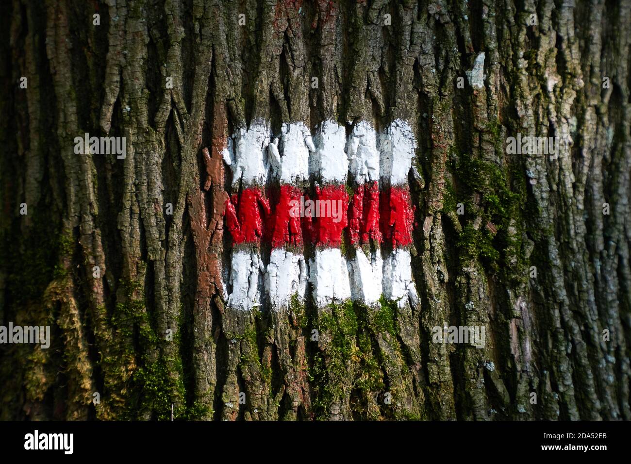 Hiking trail signs Stock Photo - Alamy