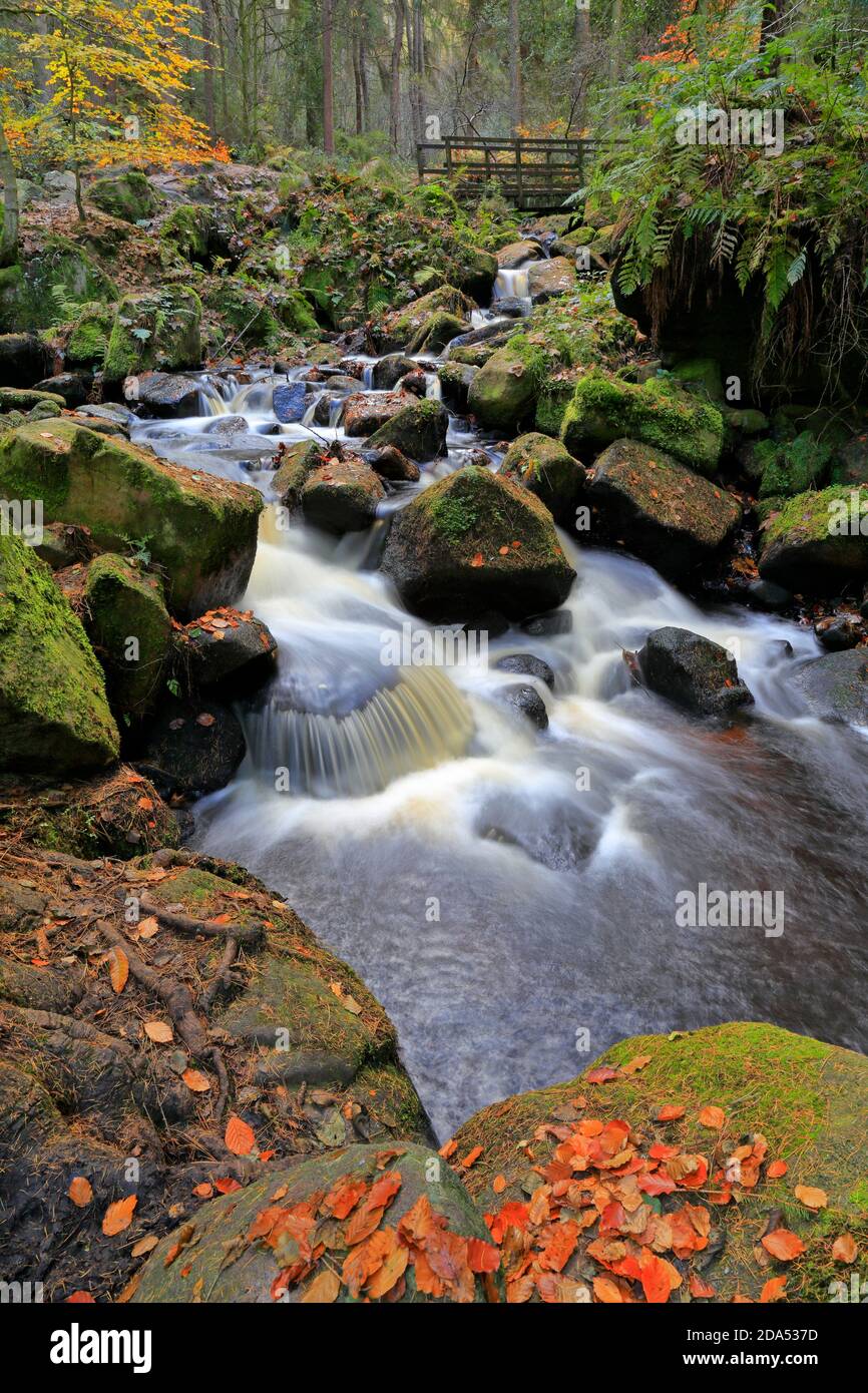 Wyming Brook Nature Reserve near Sheffield, South Yorkshire, Peak District National Park, England, UK. Stock Photo