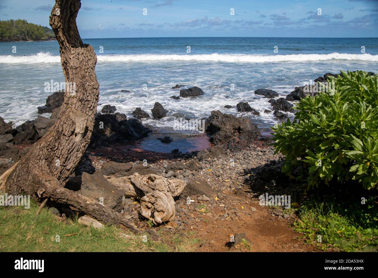 Hawaii Beach during the Day Stock Photo