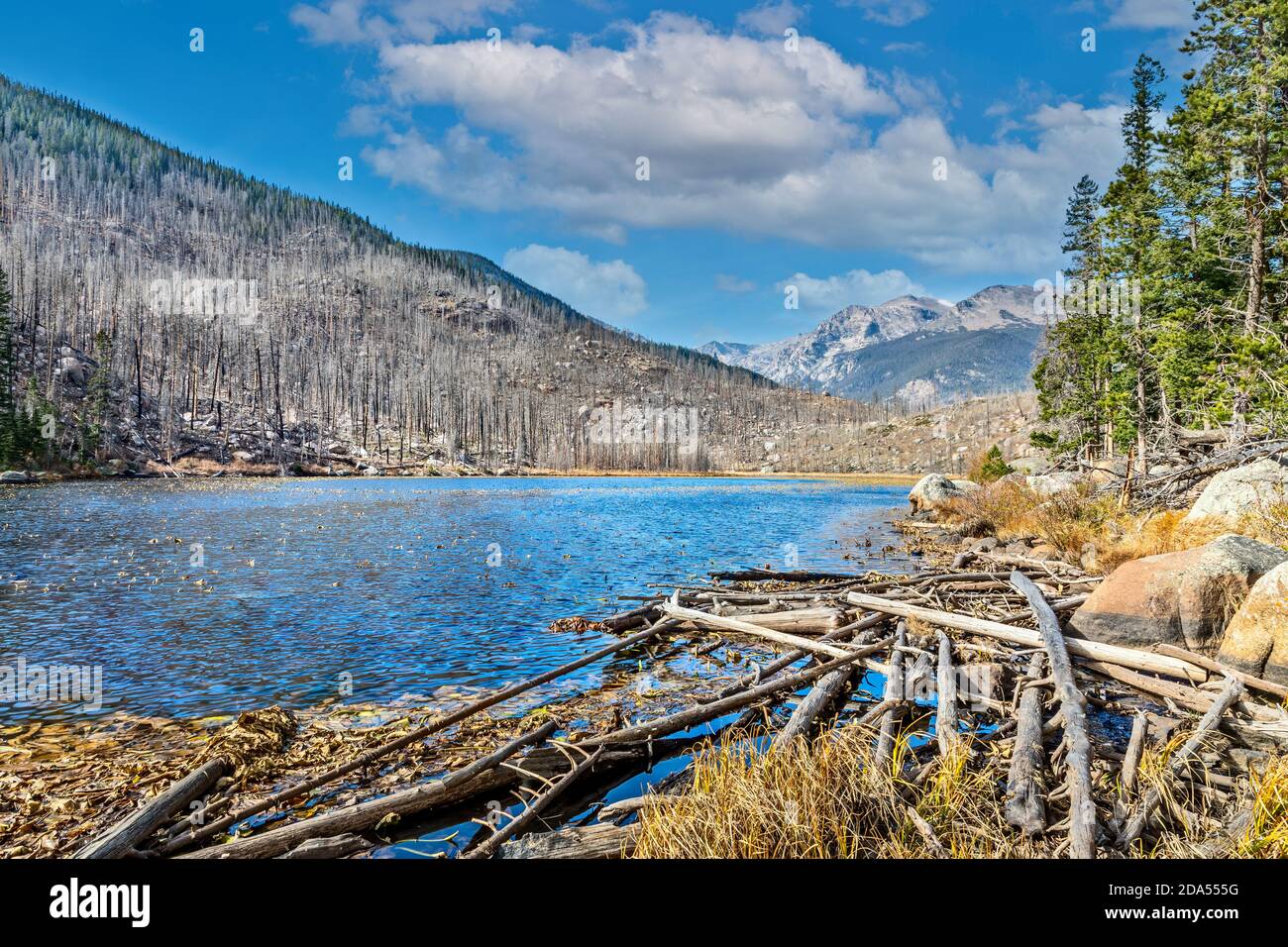 Cub lake end of October in the Rocky Mountain National Park, Colorado Stock Photo