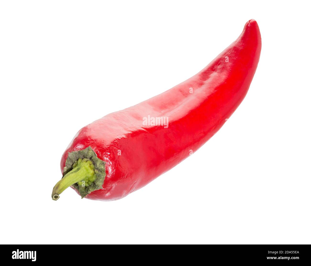 Chili pepper isolated on a white background. Red Chili hot pepper clipping path. Fresh pepper. Stock Photo
