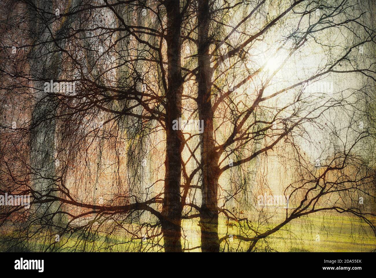 Photographic design hi-res stock photography and images - Alamy