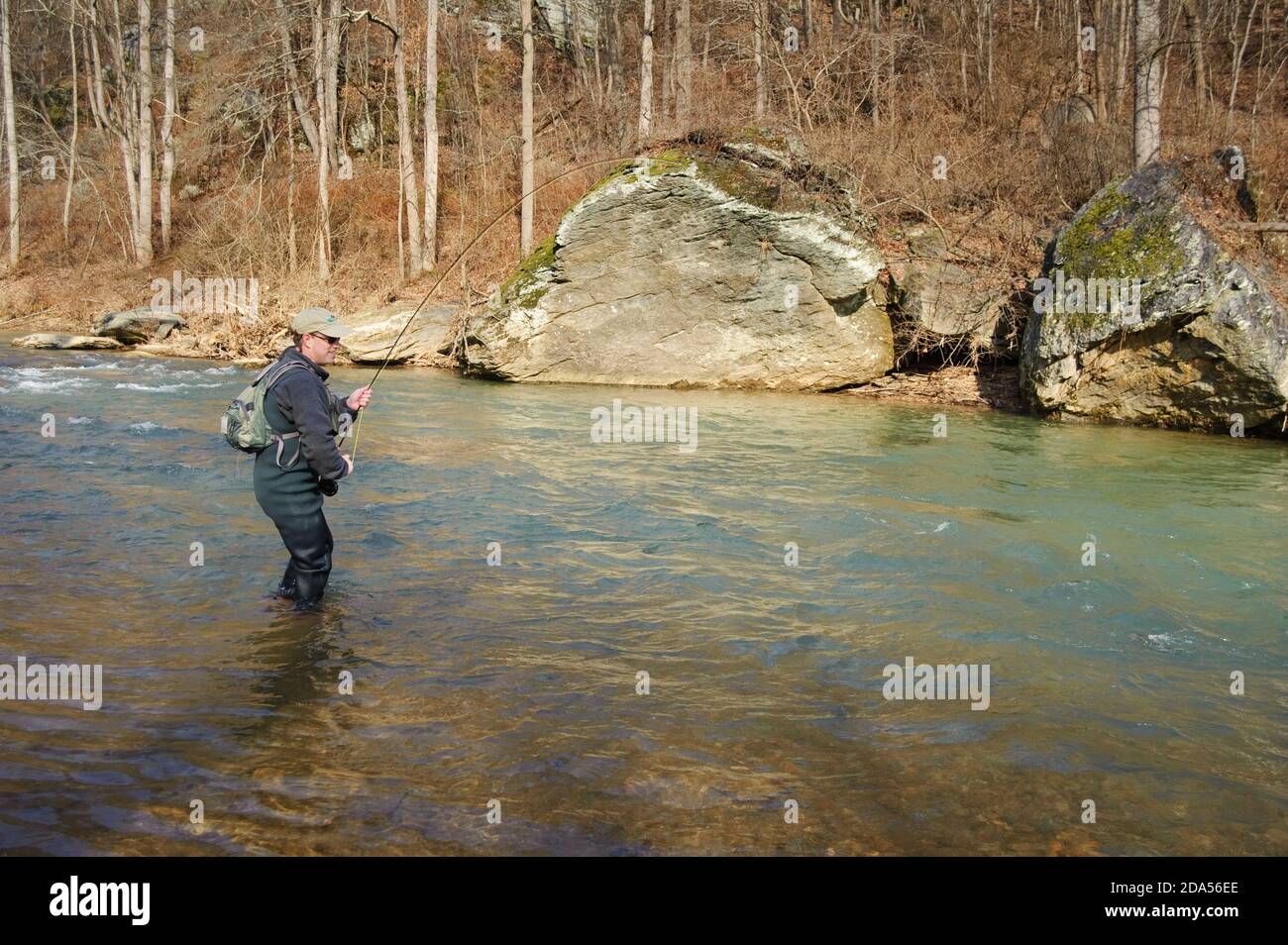 WINTER FLY FISHING FIGHTING A FISH Stock Photo