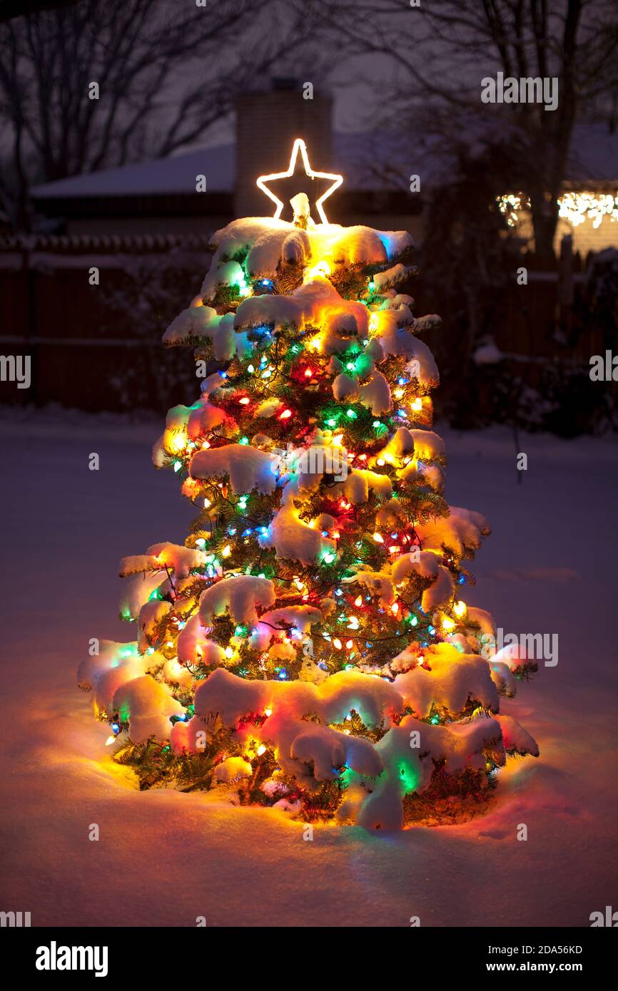 DECORATED CHRISTMAS TREE OUTDOORS IN SNOW AT NIGHT Stock Photo