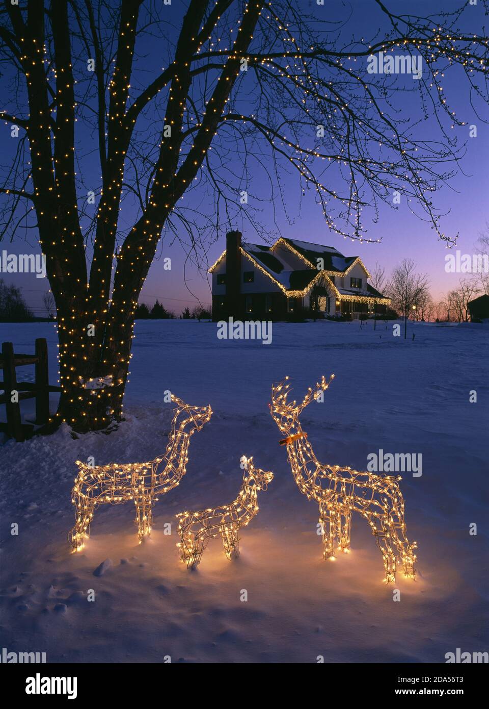 LIGHTED DECORATIVE DEER AND TREE ON SNOW COVERED LAWN / HOUSE WITH ICICLE LIGHTS IN BACKGROUND / AKRON, PENNSYLVANIA Stock Photo