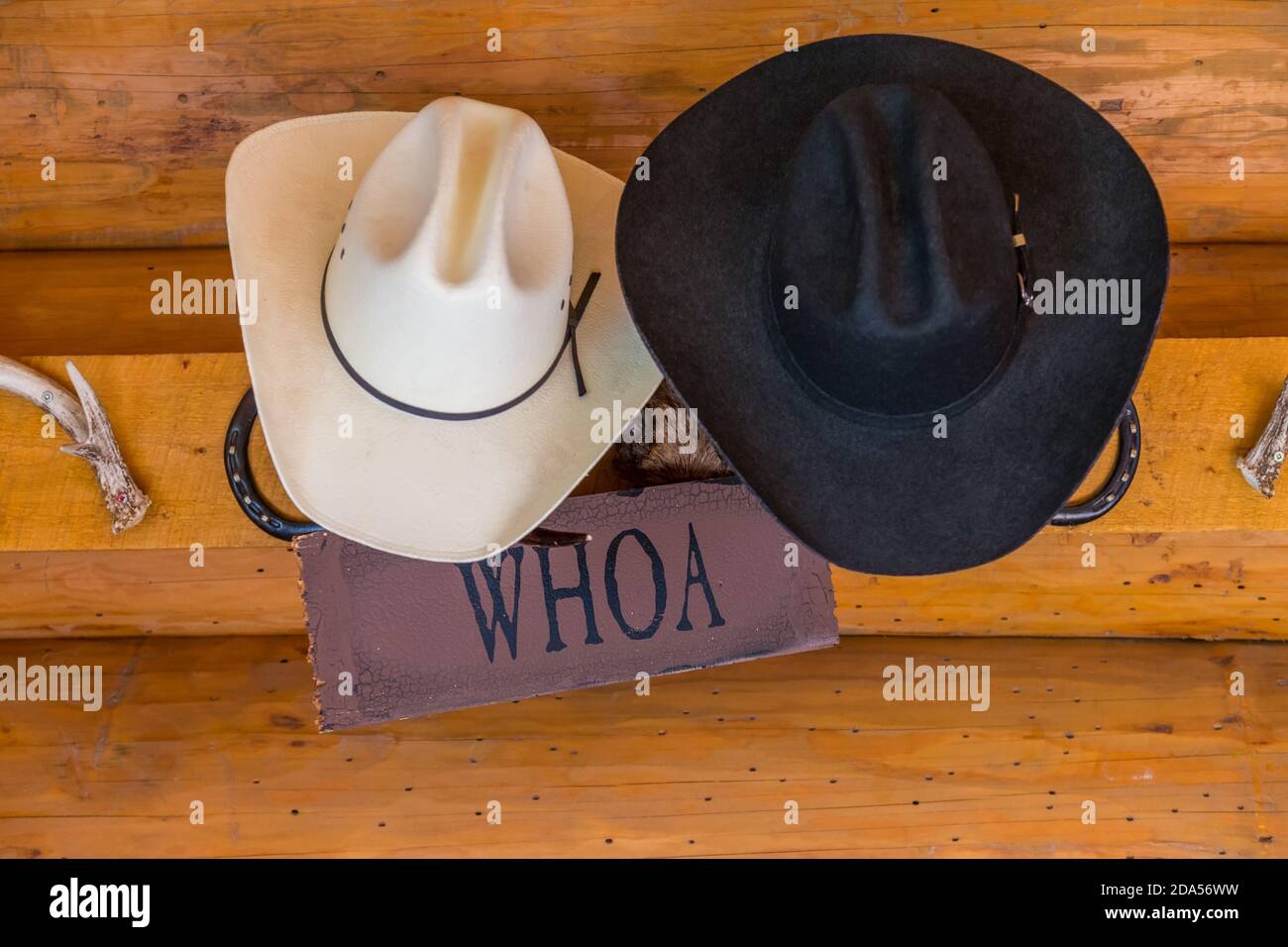 Close up of cowboy hats hanging up on a ranch, British Colombia, Canada  Stock Photo - Alamy