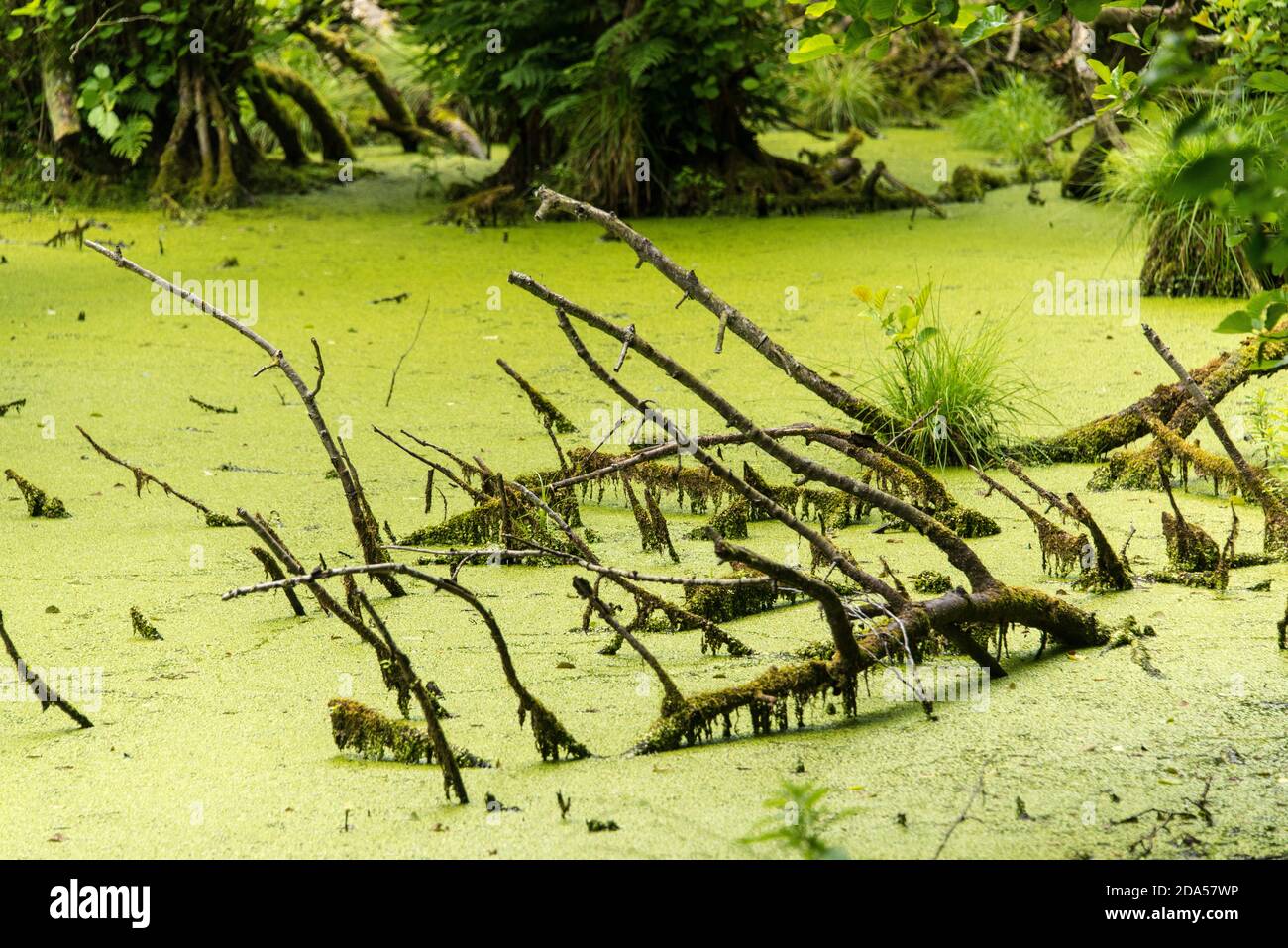 Cycle holiday rugen hires stock photography and images Alamy