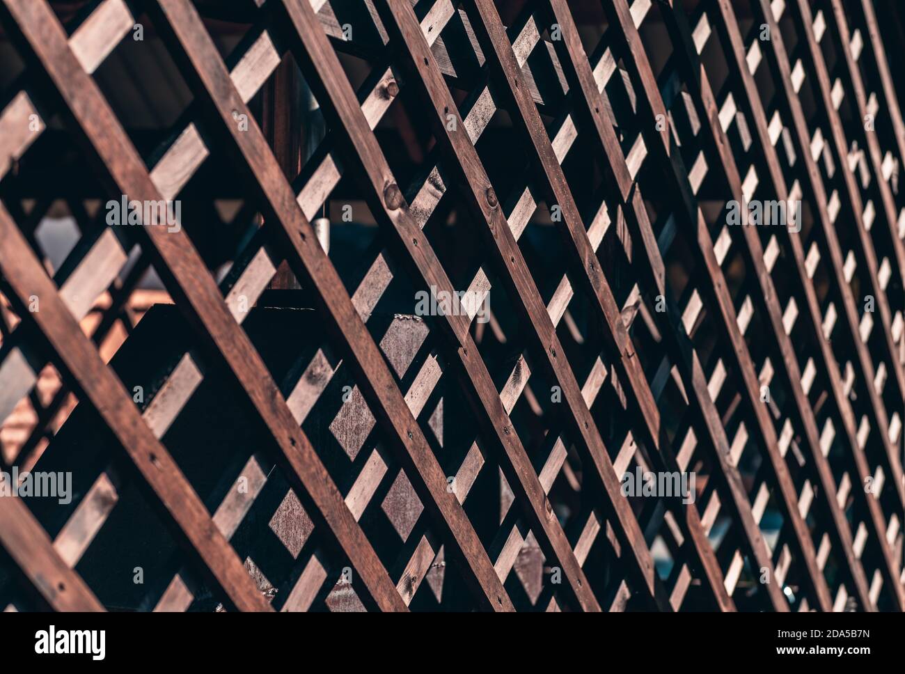 A perspective view of a wooden fence trellis battens outdoors of a