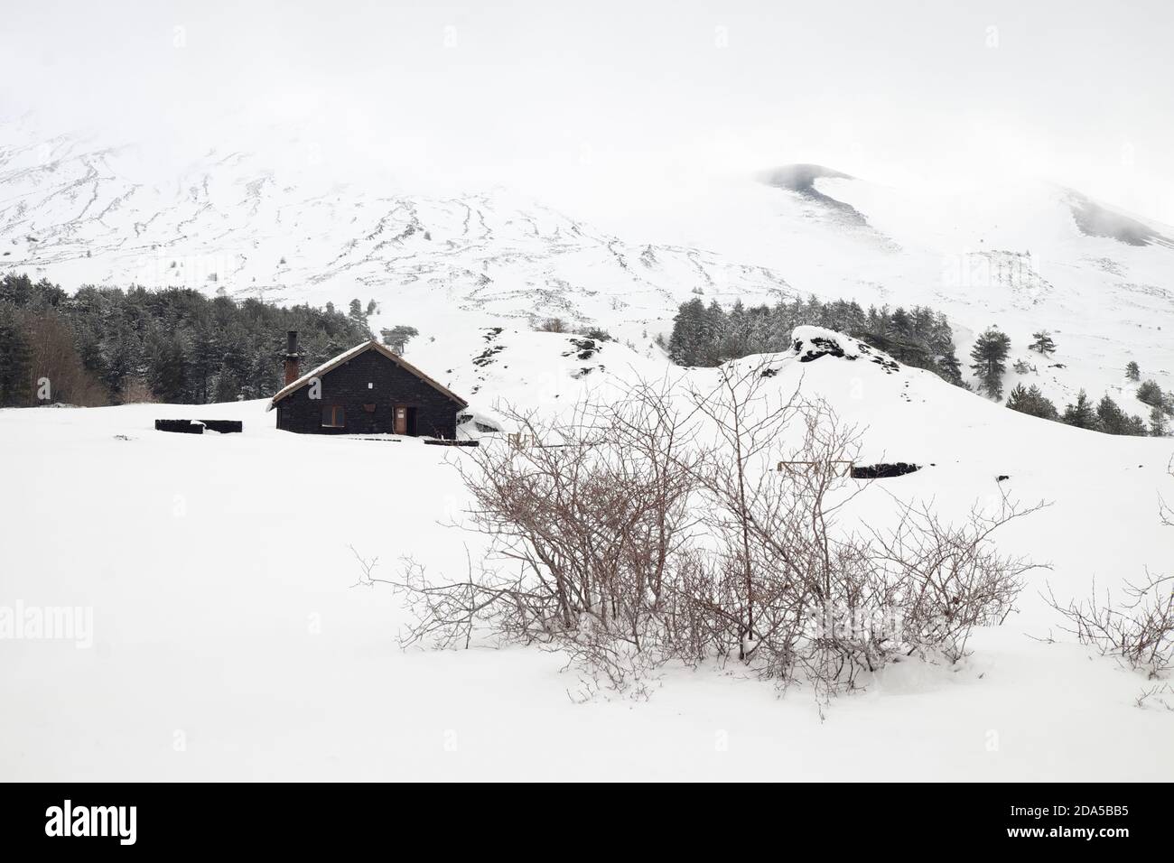 thorn bushes in snow capped Galvarina Plateau, on backgrounf blurred refuge of Etna Park, Sicily Stock Photo