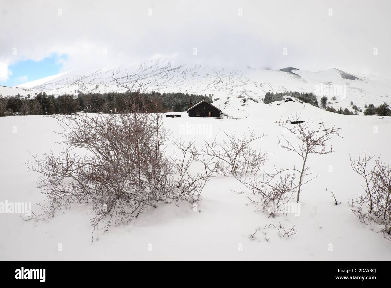 thorn bushes in snow capped Galvarina Plateau, on backgrounf blurred refuge of Etna Park, Sicily Stock Photo