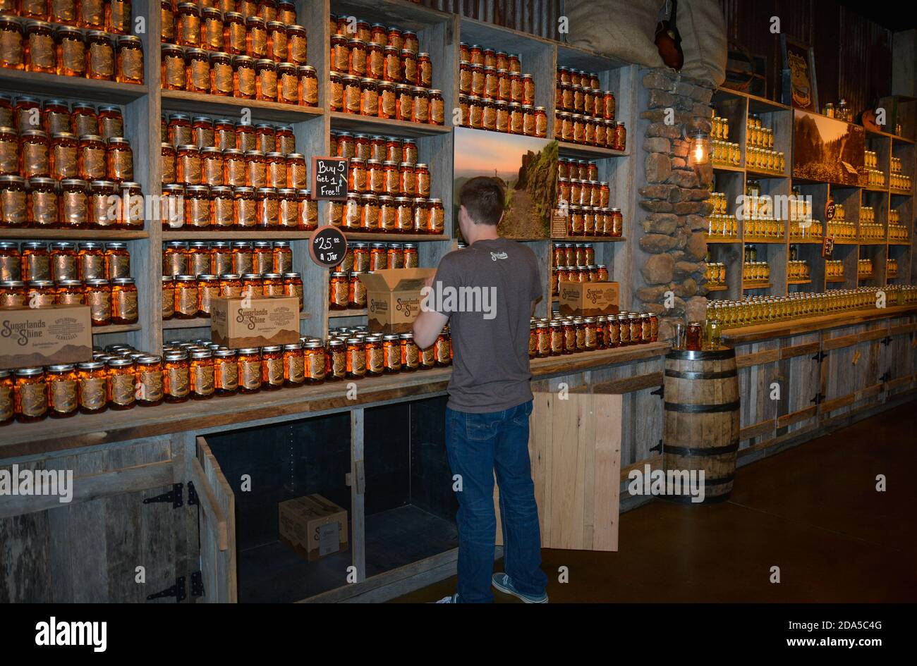 Distillery employee stocks jars of moonshine at Sunlands Moonshine Distillery in Gatlinburg, TN, in the Smoky Mountains Stock Photo
