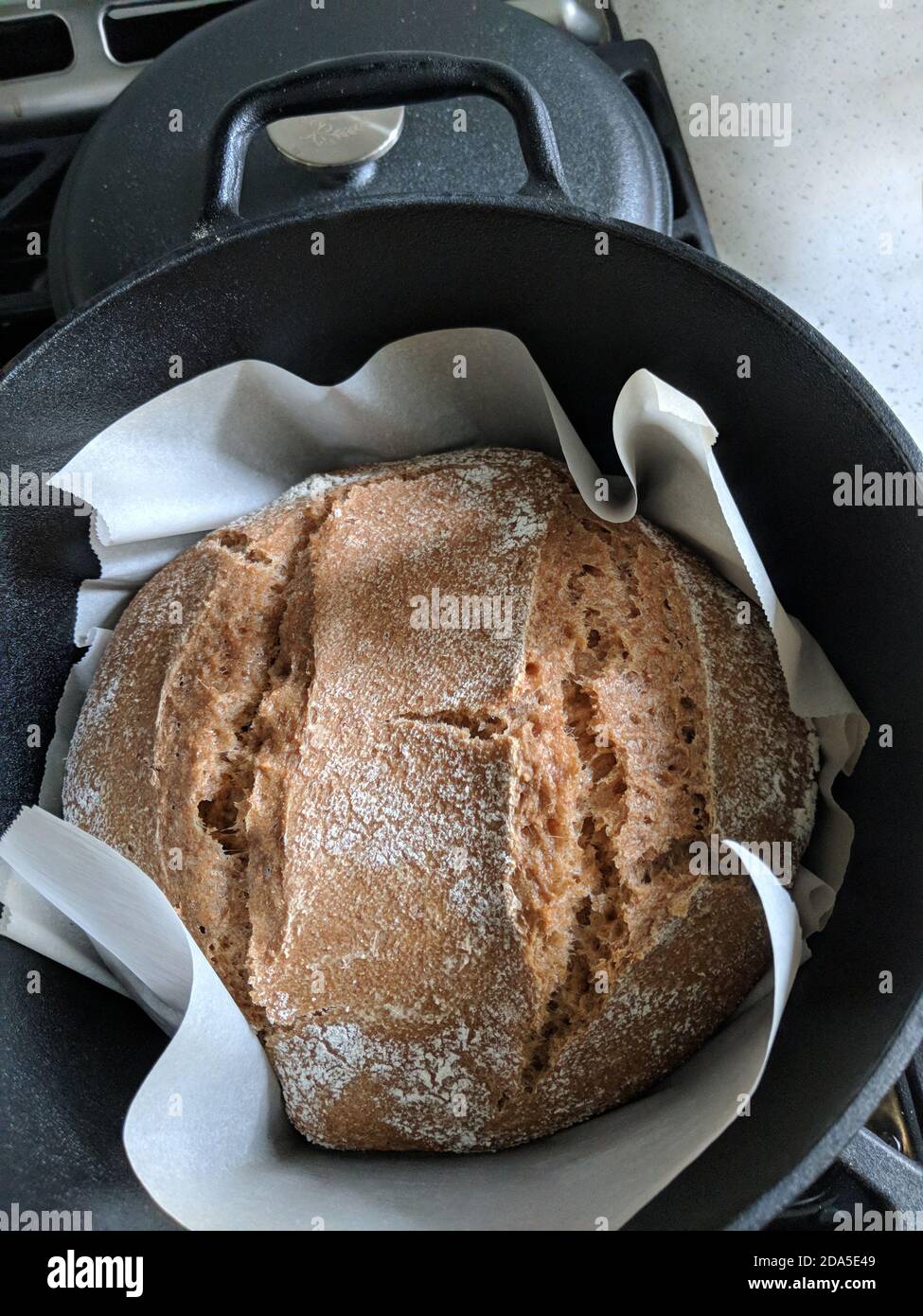 https://c8.alamy.com/comp/2DA5E49/freshly-made-loaf-of-round-bread-in-the-black-cast-iron-oven-pan-with-a-lid-on-the-side-homemade-bread-with-cuts-on-the-side-laying-on-a-parchment-pa-2DA5E49.jpg