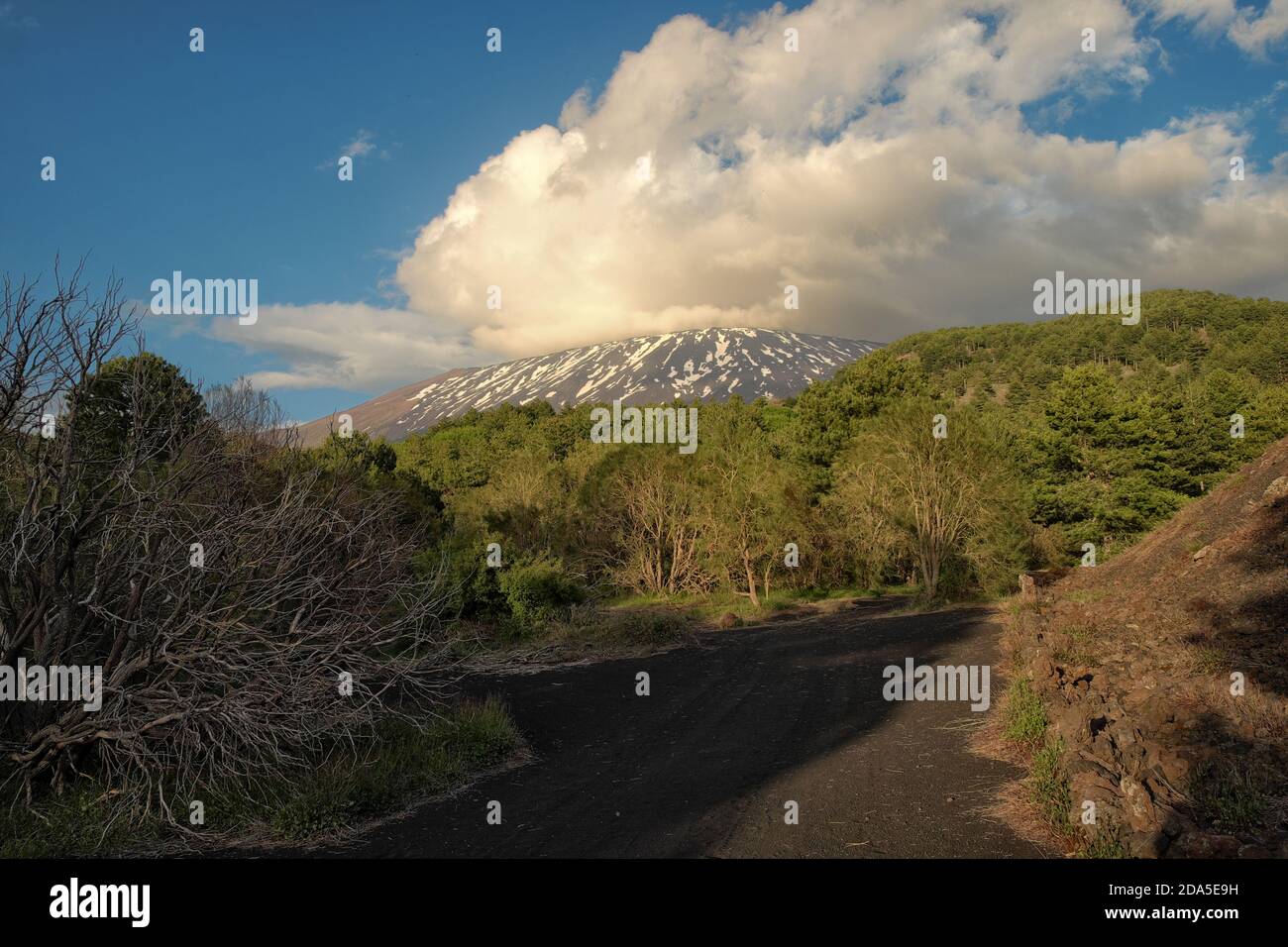Etna Park landscape at evening, Sicily Stock Photo Alamy