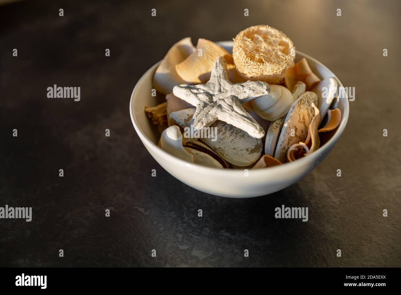 Potpourri bowl with a starfish, rocks and seashell in a bowl on a black background Stock Photo