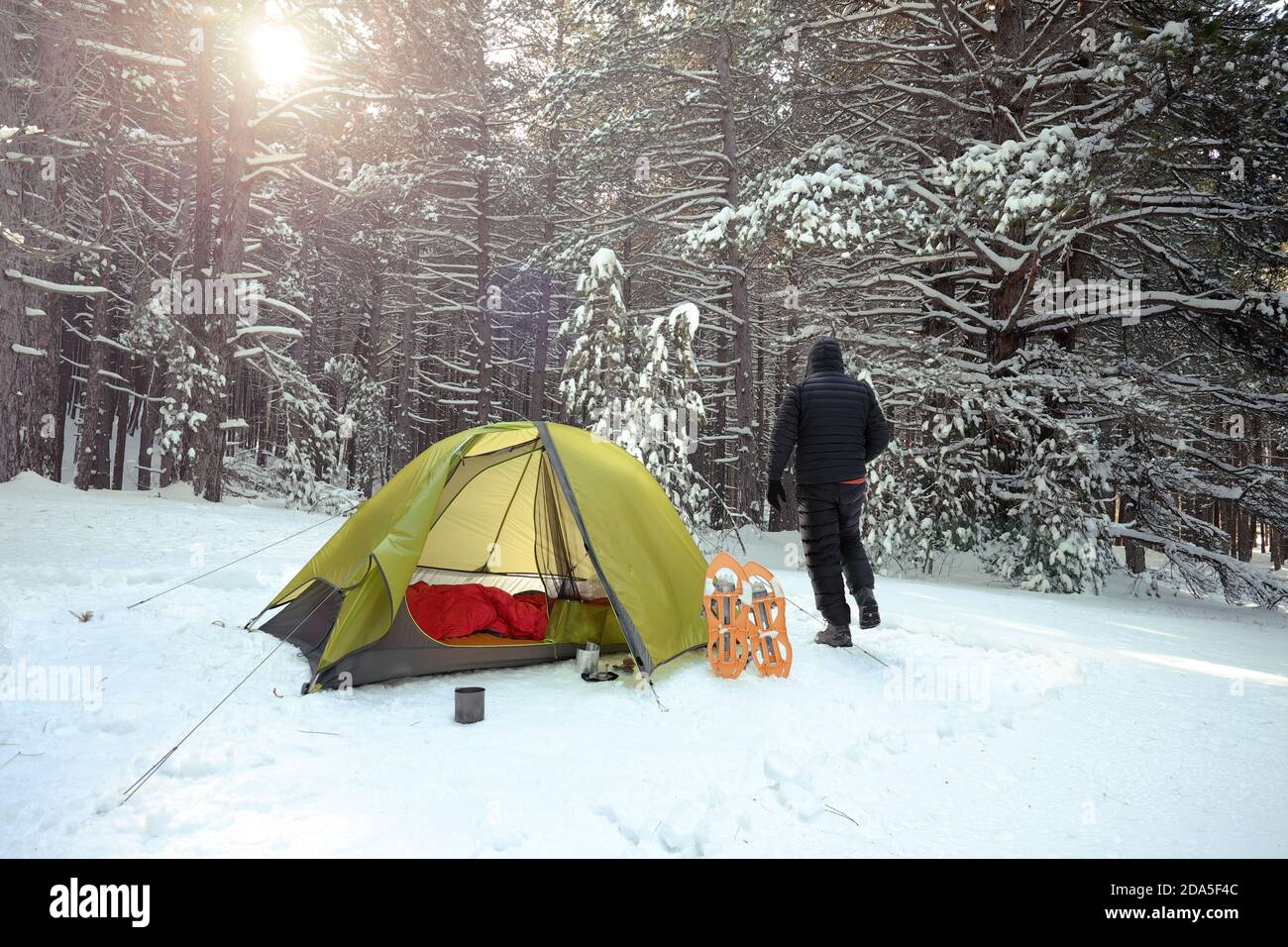 green tent in the snow covered pinewood of Etna Park, Sicily Stock Photo Alamy