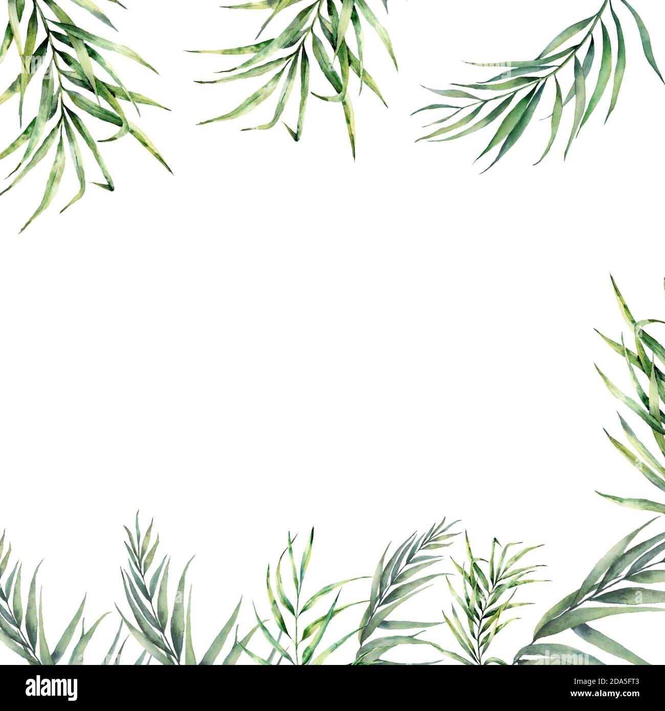 Isolated tropical leaves on a white background. Frame with nordic ...