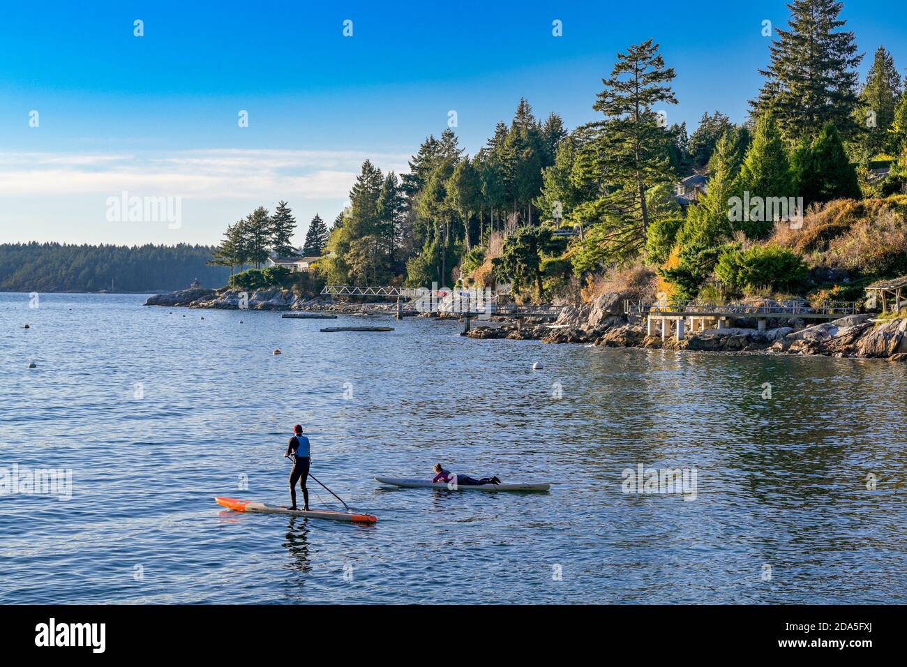 Stand up paddleboarders, Bowen Bay, owen Island, British Columbia, Canada Stock Photo