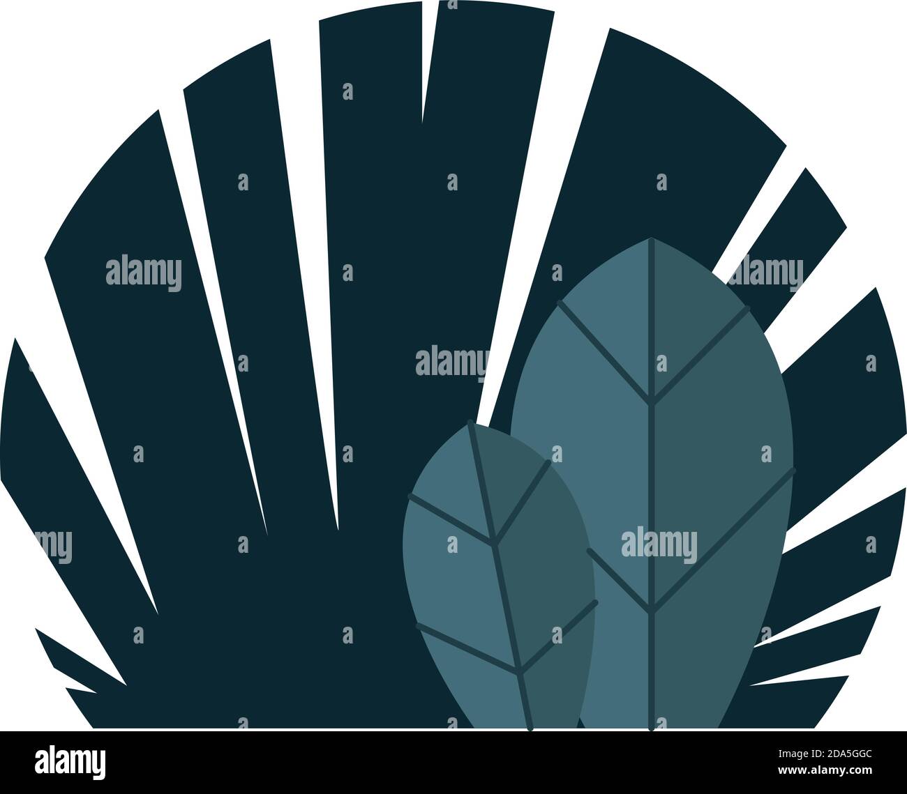 nature tropical leafs isolated icon vector illustration design Stock ...