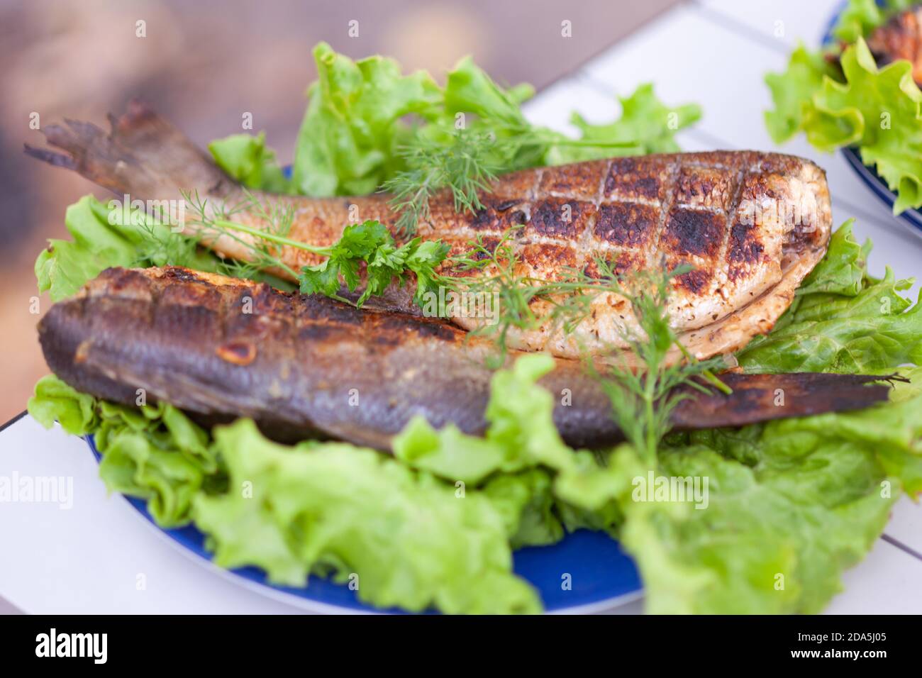 Chilean sea bass hires stock photography and images Alamy