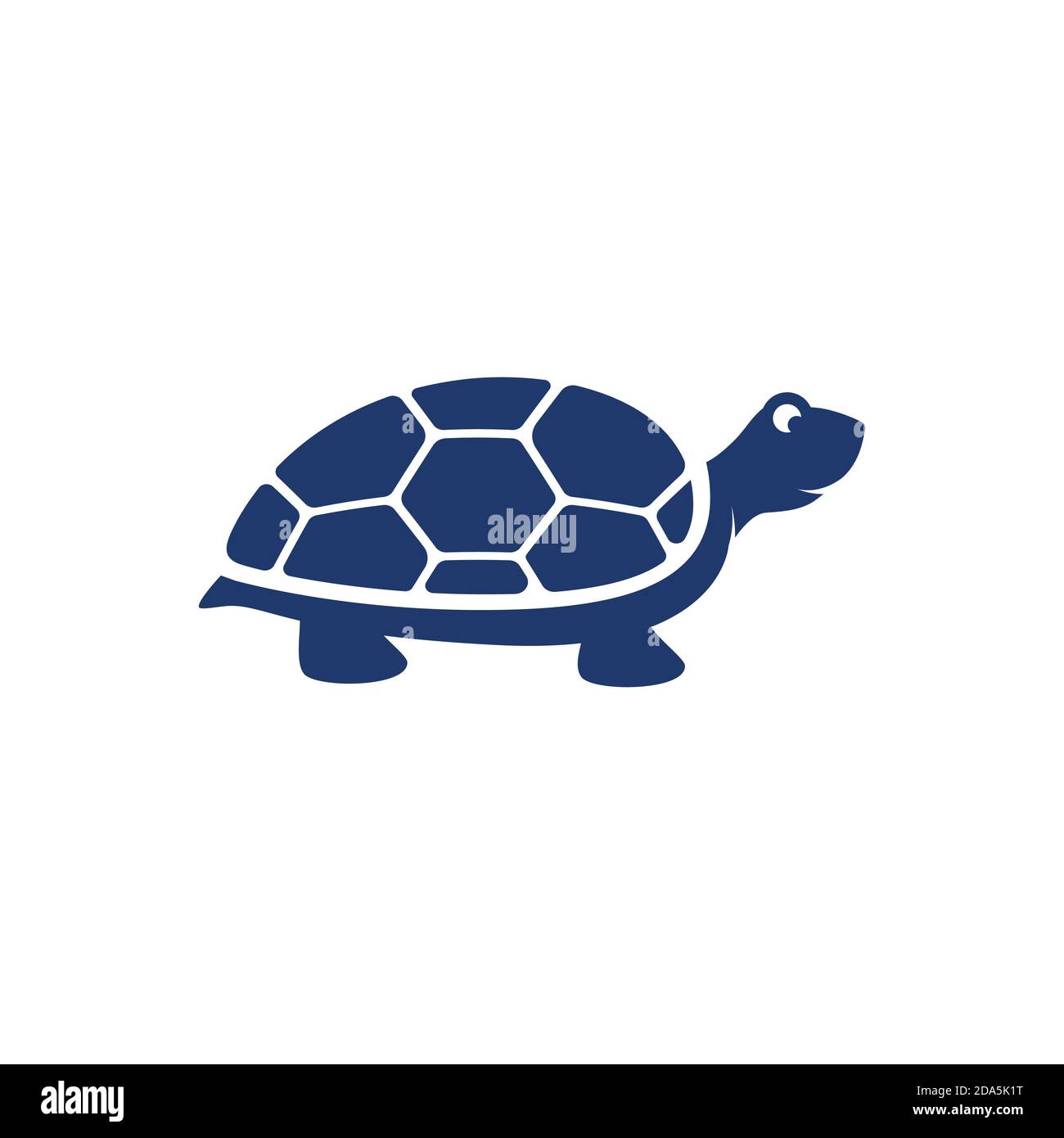 Turtle animal cartoon icon vector illustration Stock Vector