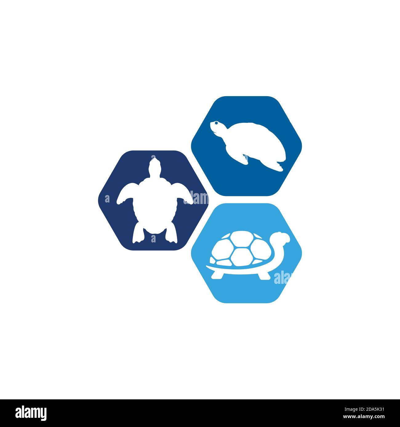 Turtle animal cartoon icon vector illustration Stock Vector Image & Art ...