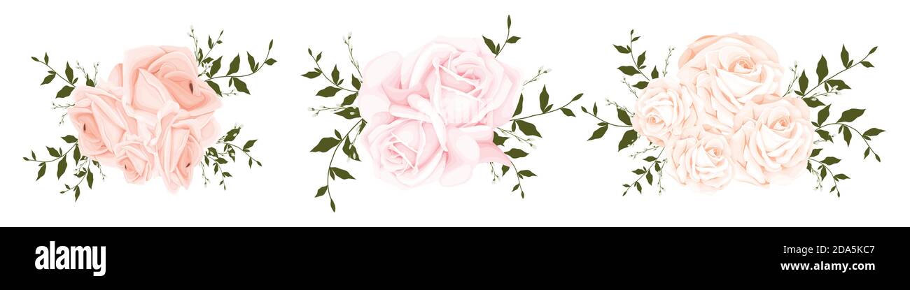 Beautiful rose bouquet watercolor set design element isolated on white ...
