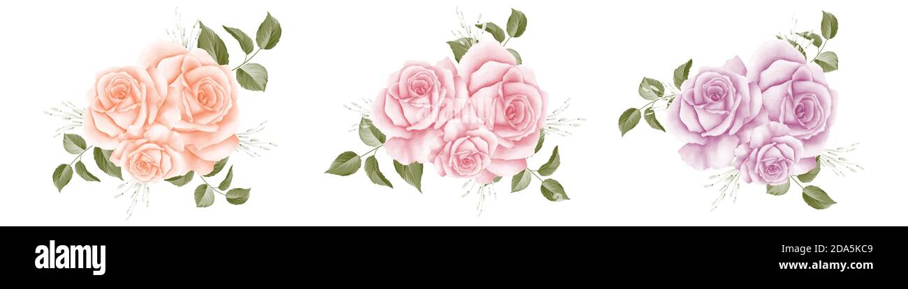 Beautiful rose bouquet watercolor set design element isolated on white ...