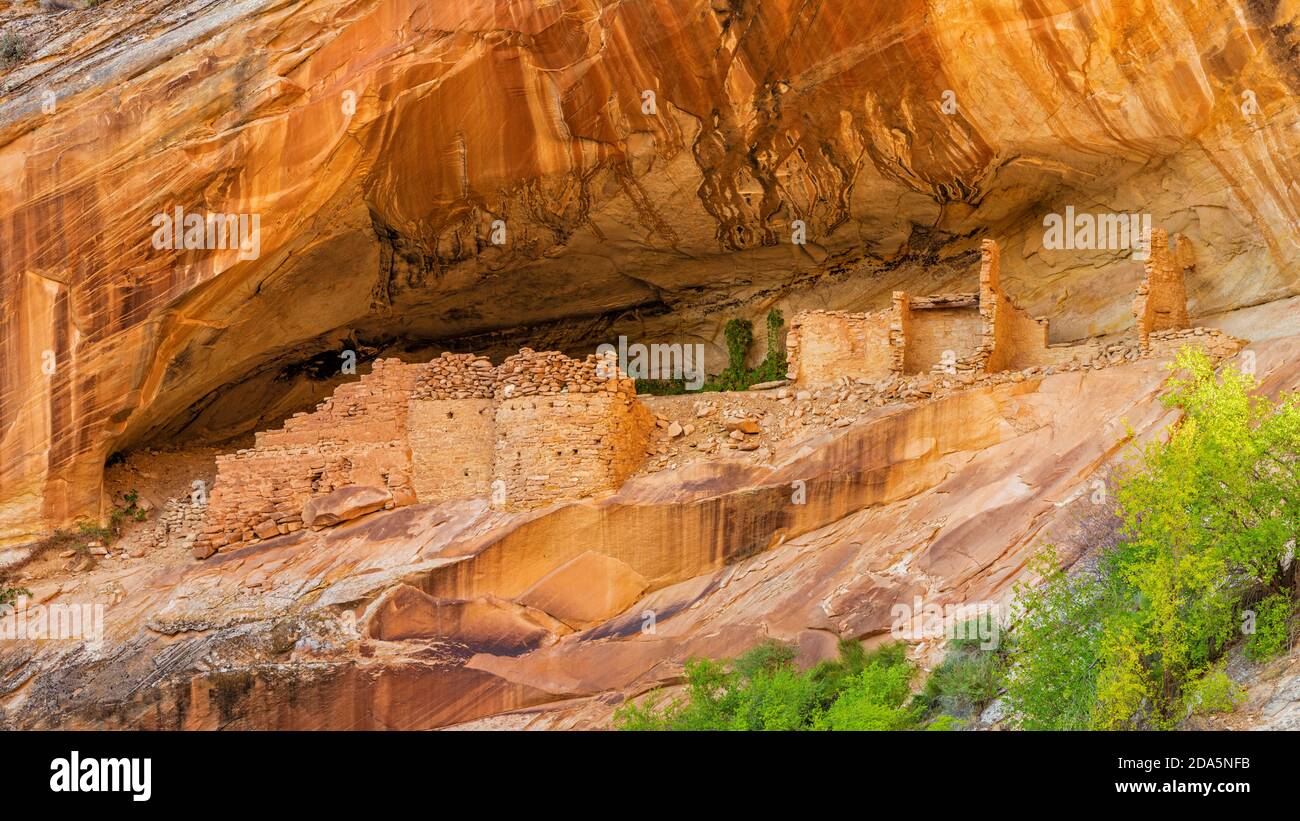 Well-preserved Monarch Cave Cliff Dwelling on Comb Ridge off Butler Wash in Bears Ears National Monument is Southeast Utah. Stock Photo