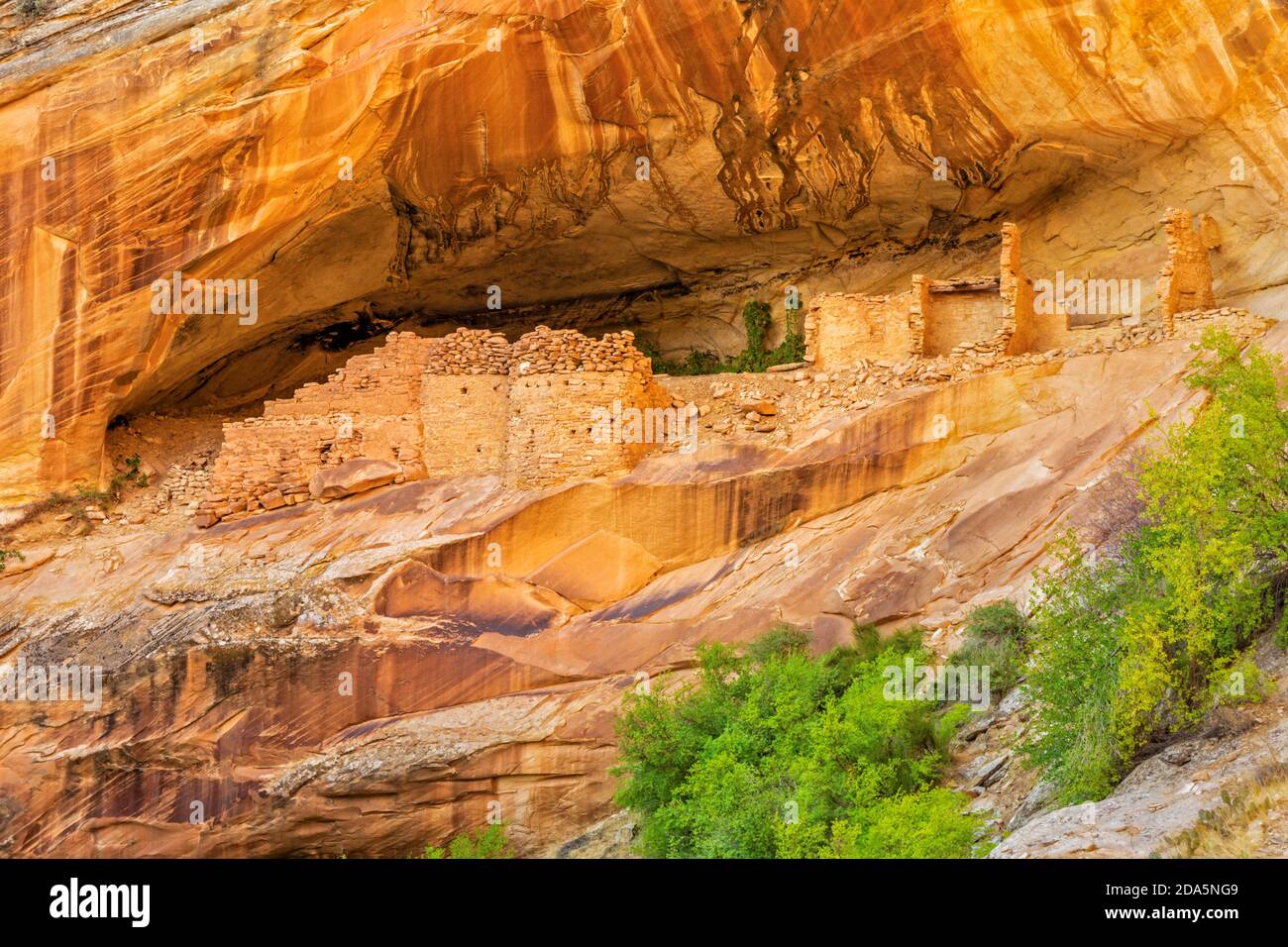 Well-preserved Monarch Cave Cliff Dwelling on Comb Ridge off Butler Wash in Bears Ears National Monument is Southeast Utah. Stock Photo