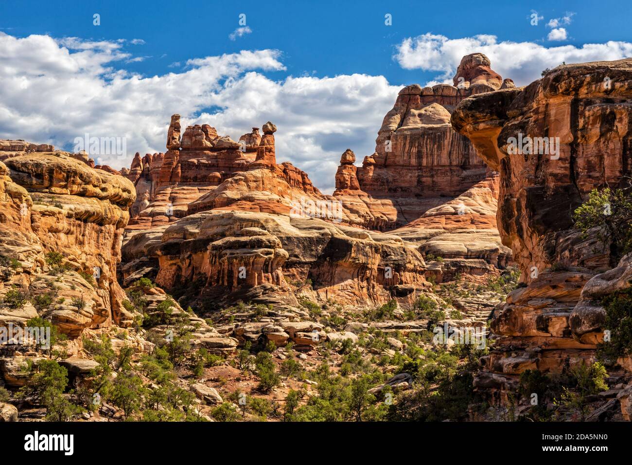 Spires and rock faces line beautiful Elephant Canyon in the Needles District of Canyonlands National Park, Utah. Stock Photo