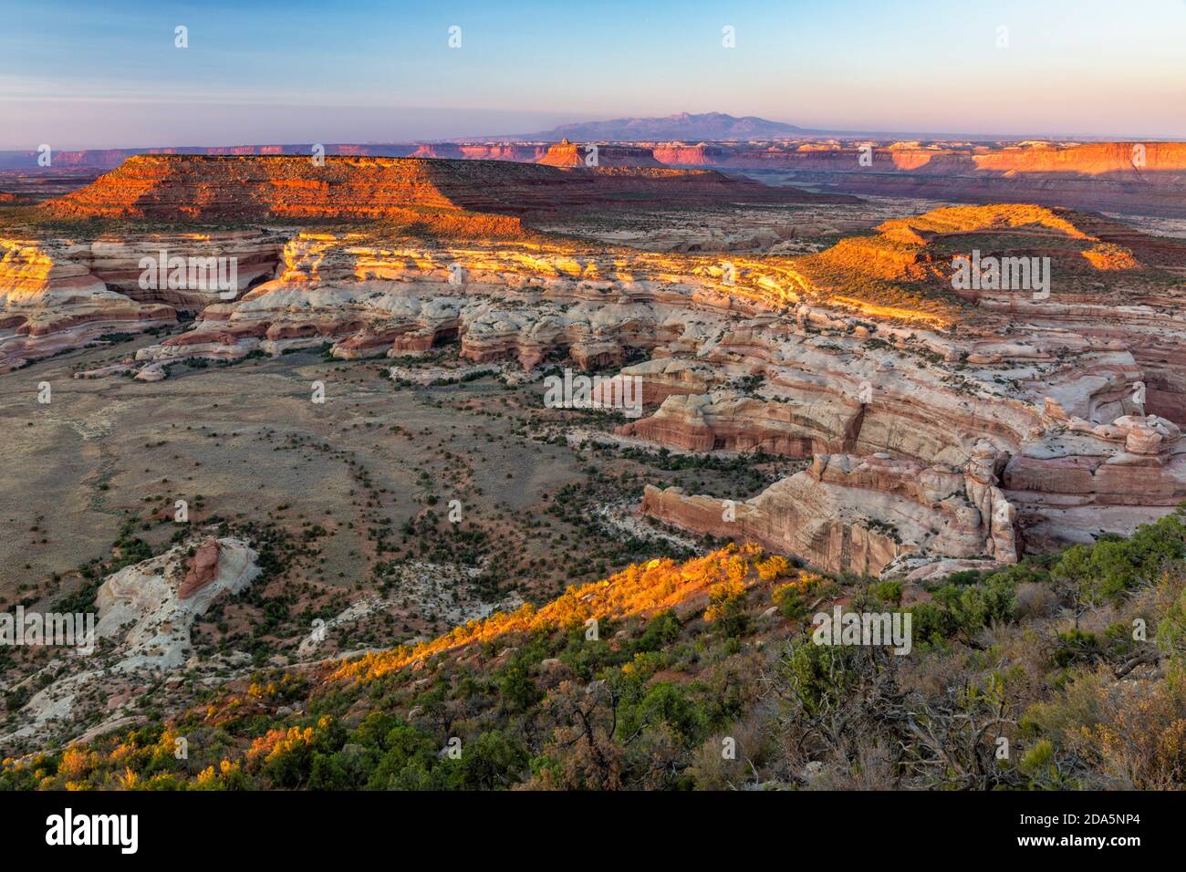 Looking down on Big pocket and Lavendar and Davis Canyons from Cathedral Point in the Needles District of Canyonlands National Park, Utah. Stock Photo