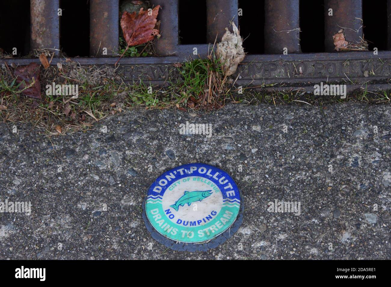 No dumping sign next to the street drainage in the suburb of Seattle, Bellevue, Washington, USA Stock Photo