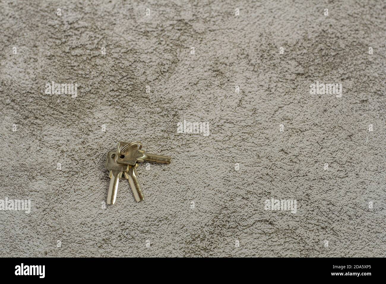 A bunch of three keys to the apartment is on a gray background with a copy of the space. Stock Photo
