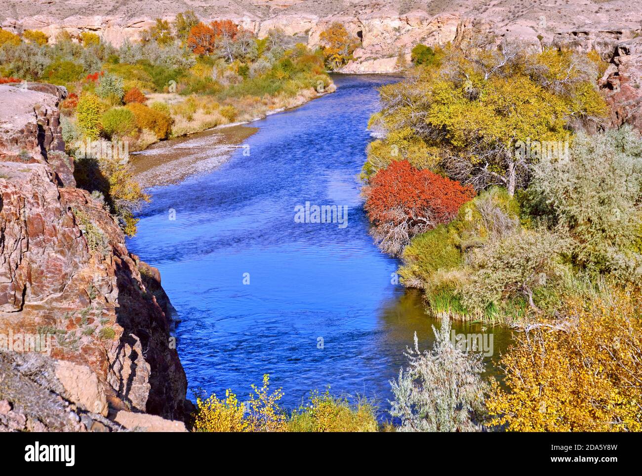 Clear water of rich blue hues surrounded by autumn forest; Charyn river in autumn season Stock Photo