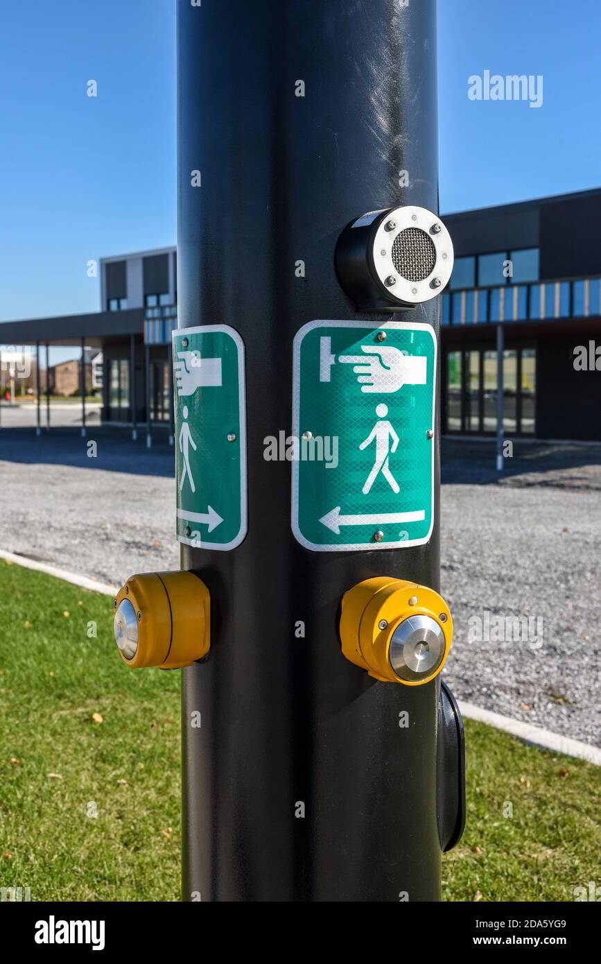 Yellow button and green road signs pedestrian crossing Stock Photo