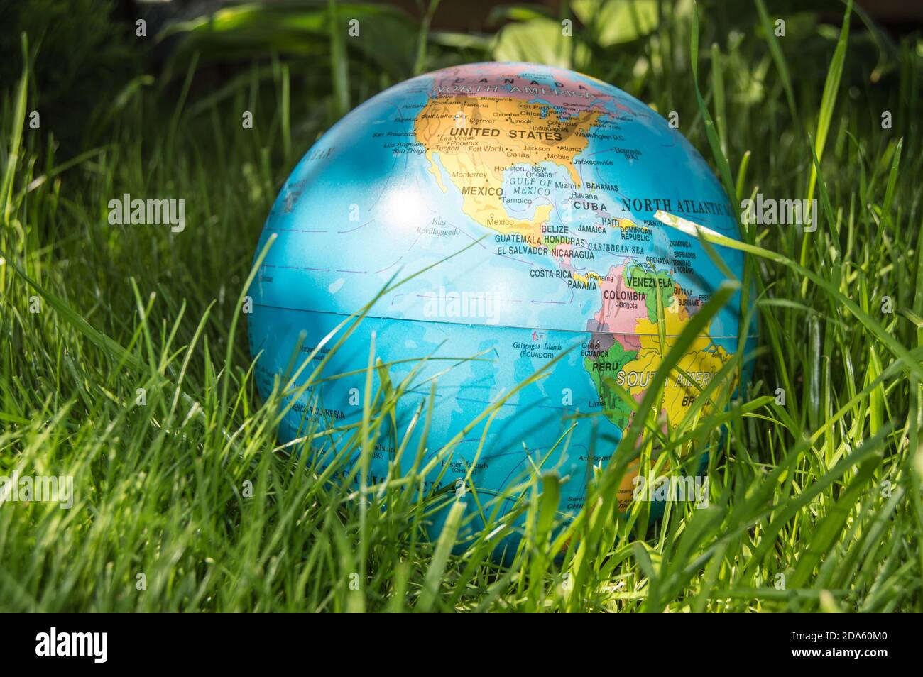 The globe model of the Earth in green grass showing ECO concept ...