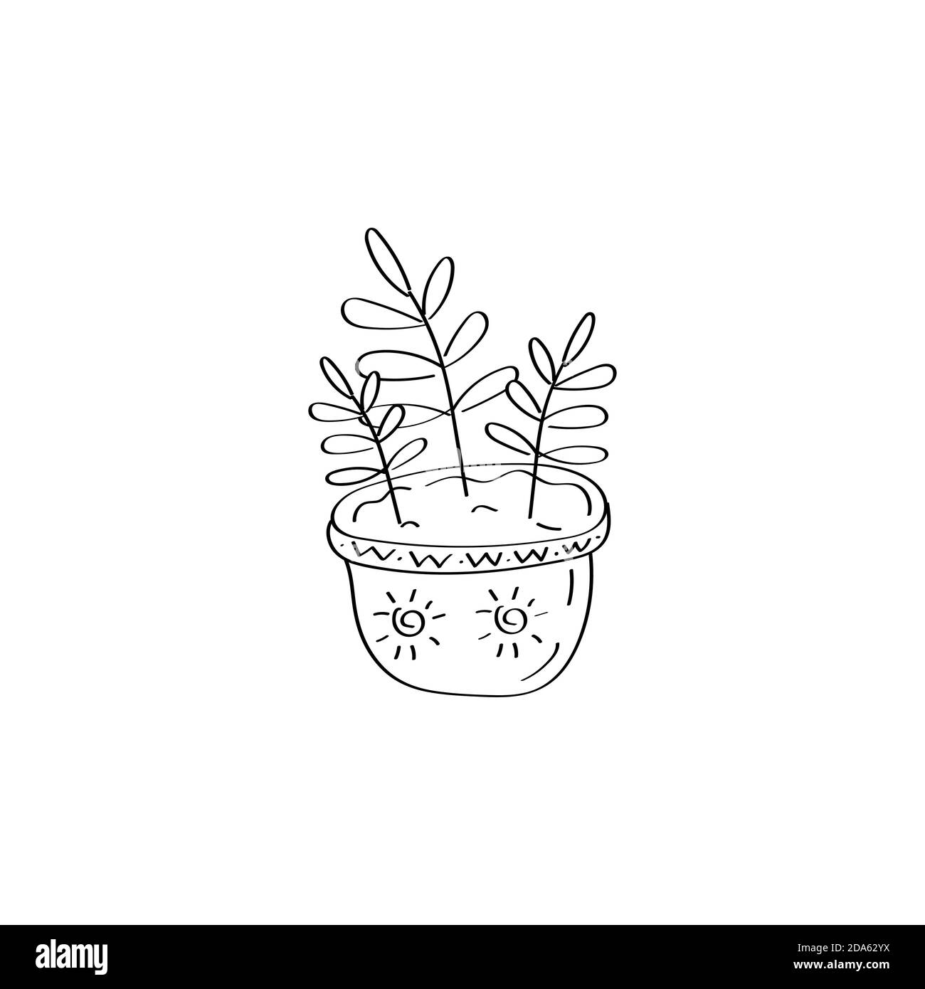 House plant. Flowers in pot. Ficus icon. Hand drawn vector doodle illustration Stock Vector