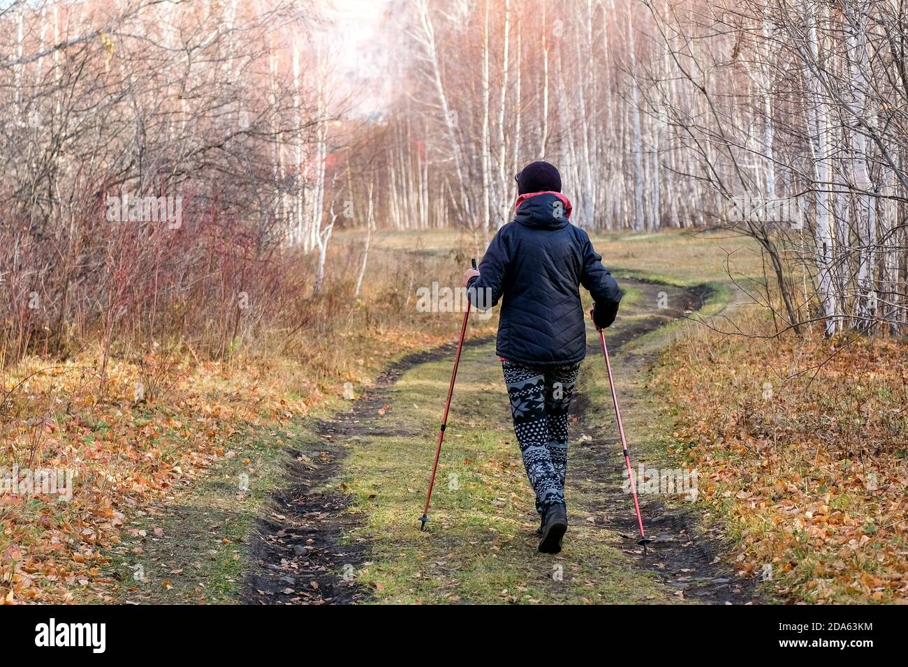Winding walks forest hi-res stock photography and images - Alamy