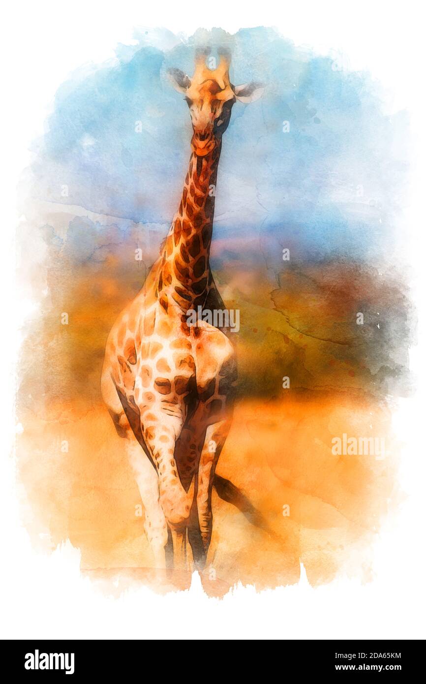 Giraffe Watercolor Stock Photo