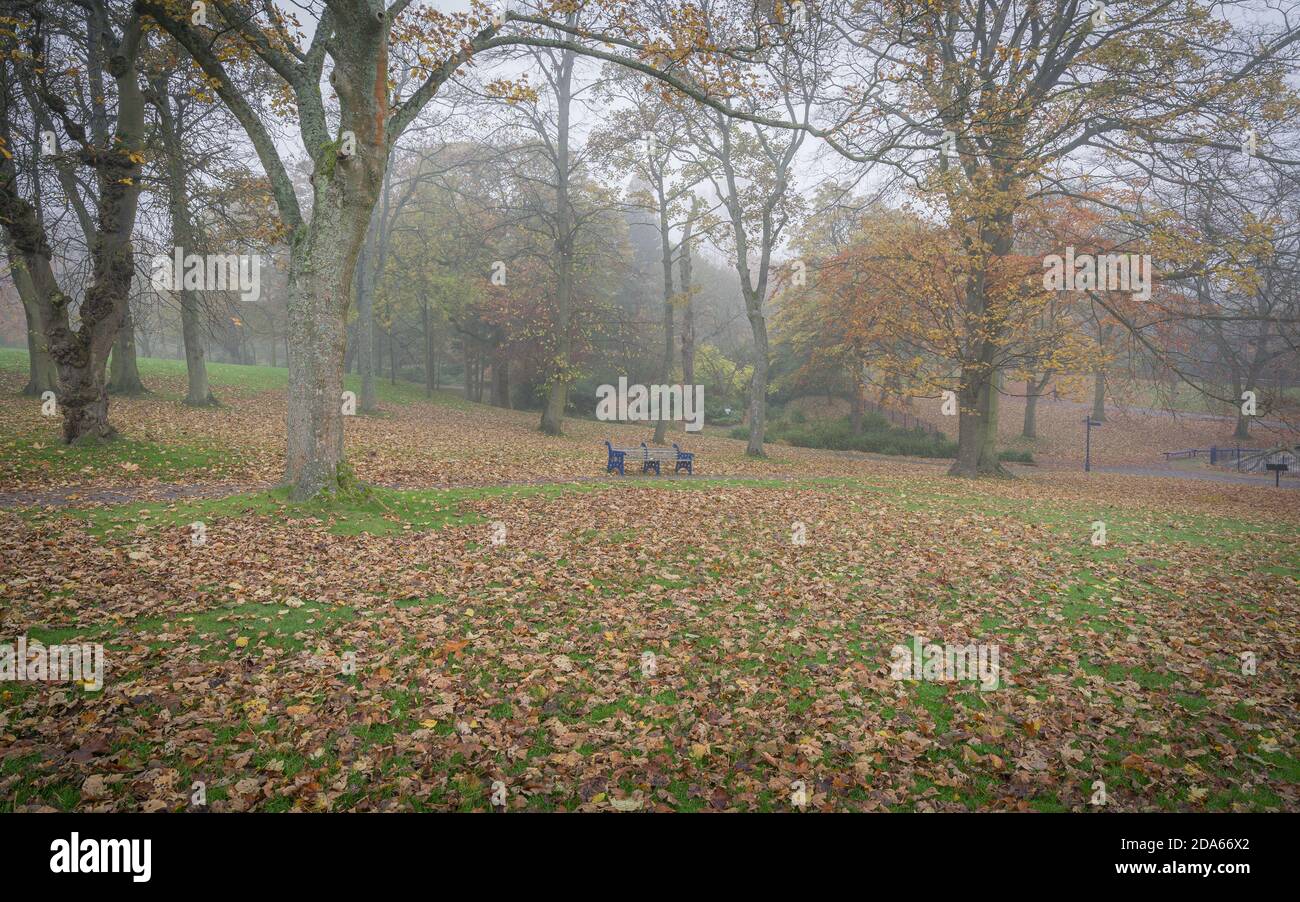 Autumn at Lister Park in Bradford, West Yorkshire, UK Stock Photo