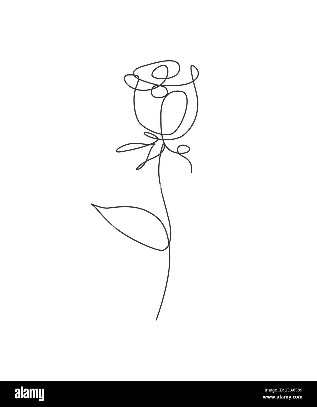 Easy Continuous Line Drawing